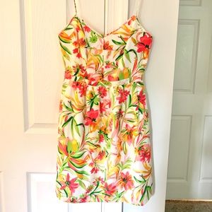 J Crew dress